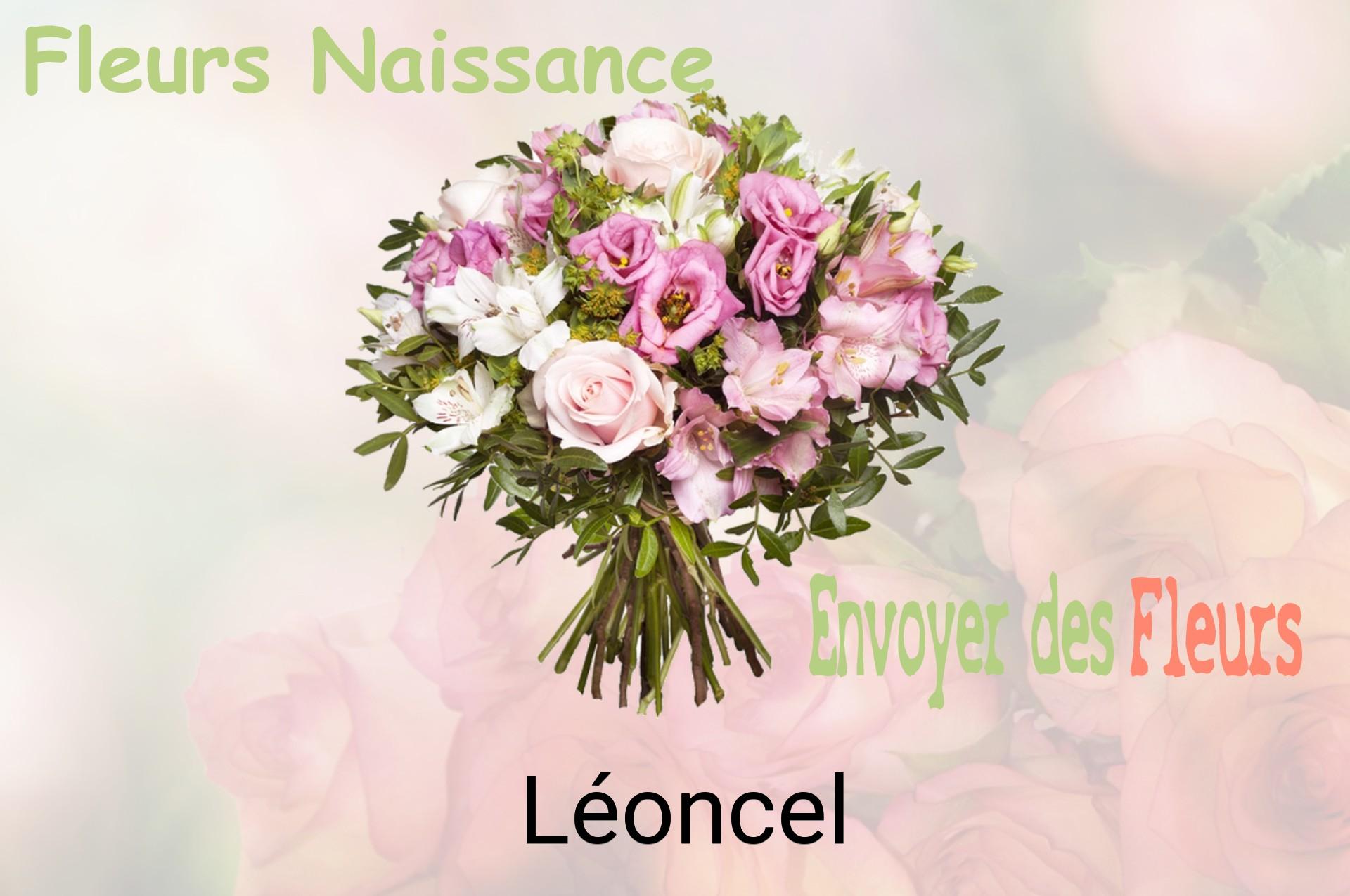 Bouquet de fleurs de naissance livré à Léoncel
